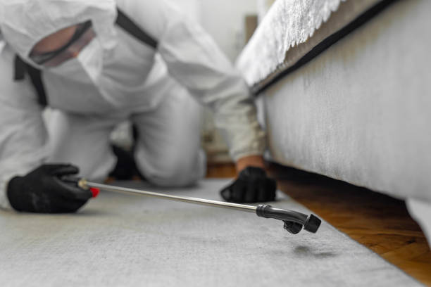 Professional Cockroach Control technician working in Dunkirk, NY